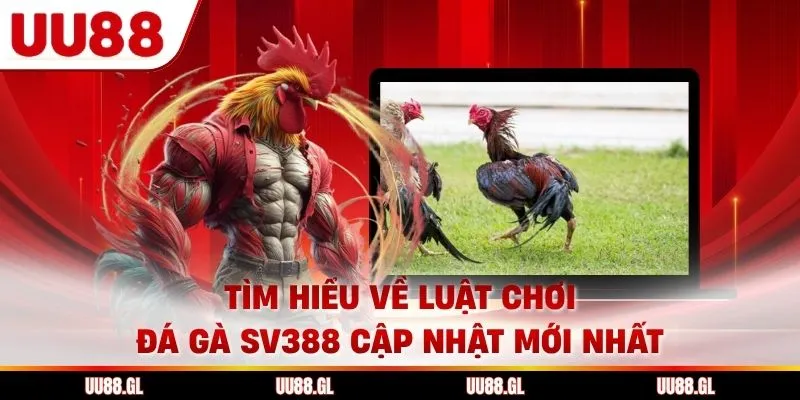Tìm hiểu về luật chơi đá gà sv388 cập nhật mới nhất
